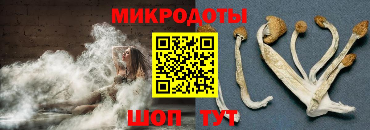 Новозыбков  Галлюциногенные грибы GOLDEN TEACHER  Вход с VPN 