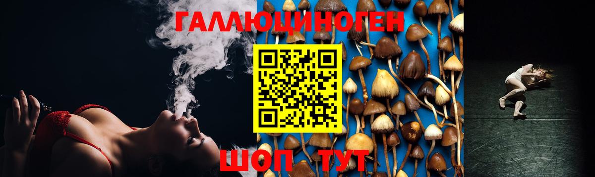 Псилоцибиновые грибы Psilocybine cubensis Новозыбков